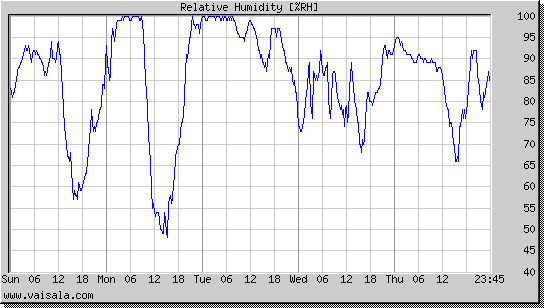 Relative Humidity