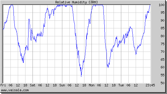 Relative Humidity