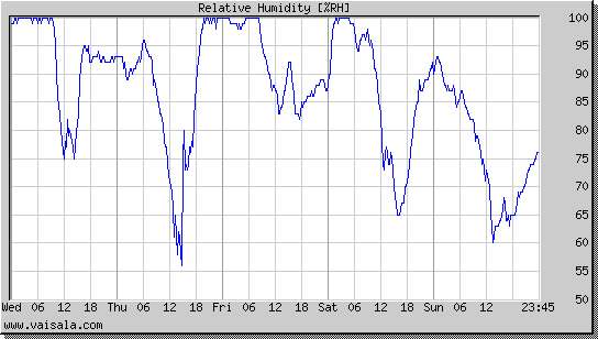 Relative Humidity