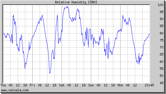 Relative Humidity