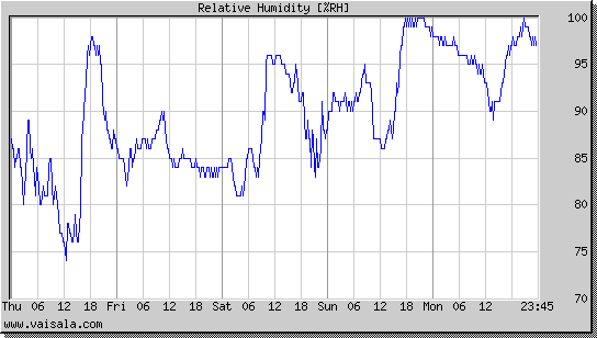 Relative Humidity