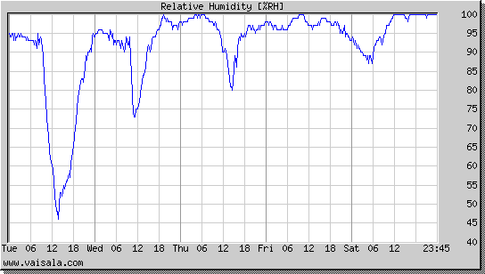 Relative Humidity