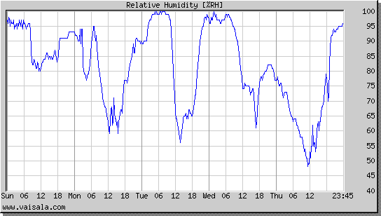 Relative Humidity