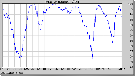 Relative Humidity