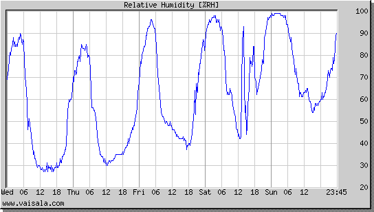 Relative Humidity