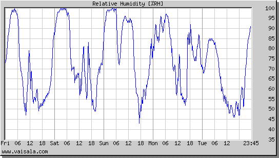 Relative Humidity