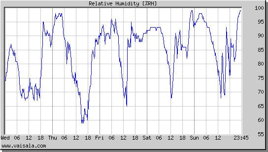 Relative Humidity