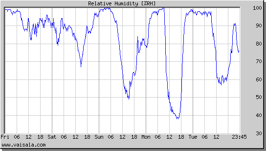 Relative Humidity