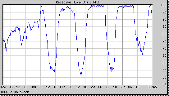 Relative Humidity