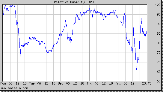 Relative Humidity