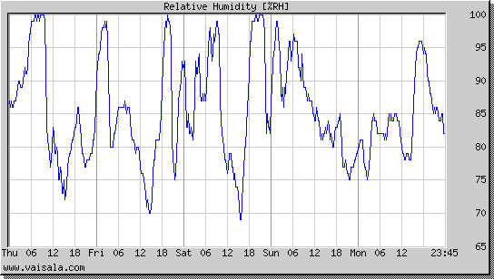 Relative Humidity