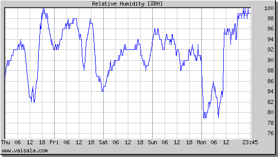 Relative Humidity