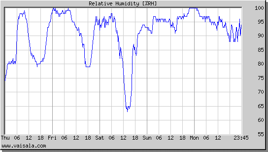 Relative Humidity