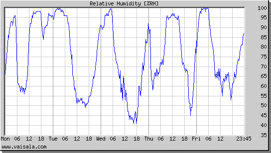 Relative Humidity