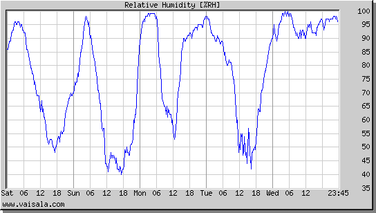 Relative Humidity