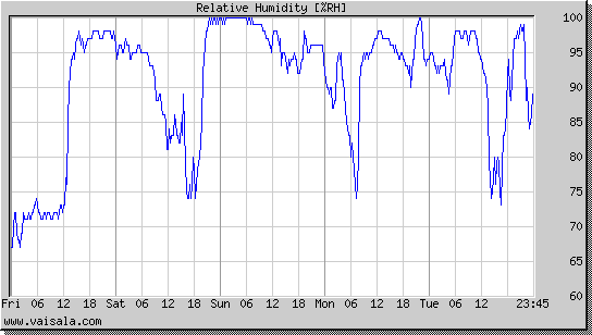 Relative Humidity