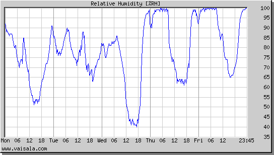 Relative Humidity