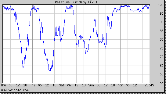Relative Humidity