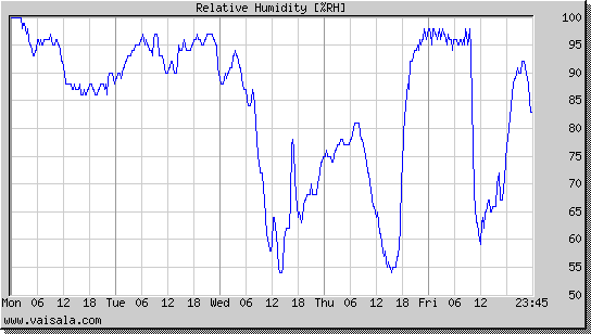 Relative Humidity
