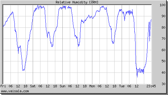 Relative Humidity