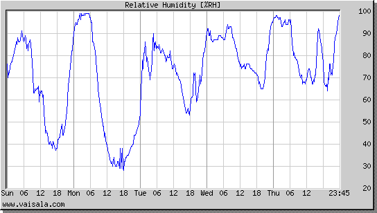 Relative Humidity