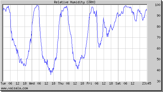 Relative Humidity