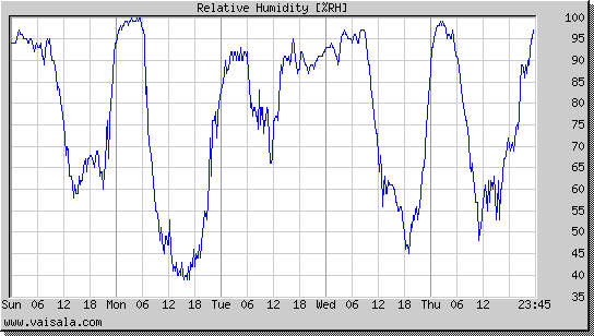 Relative Humidity