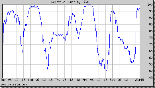 Relative Humidity