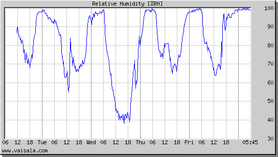 Relative Humidity