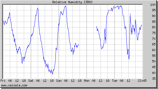 Relative Humidity