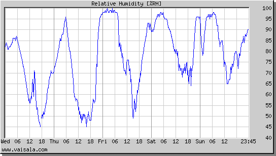 Relative Humidity