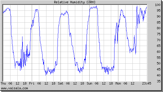 Relative Humidity
