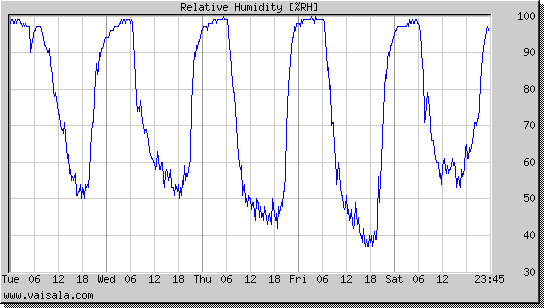 Relative Humidity