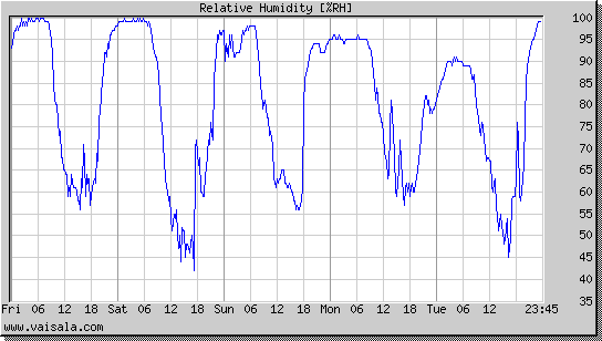 Relative Humidity